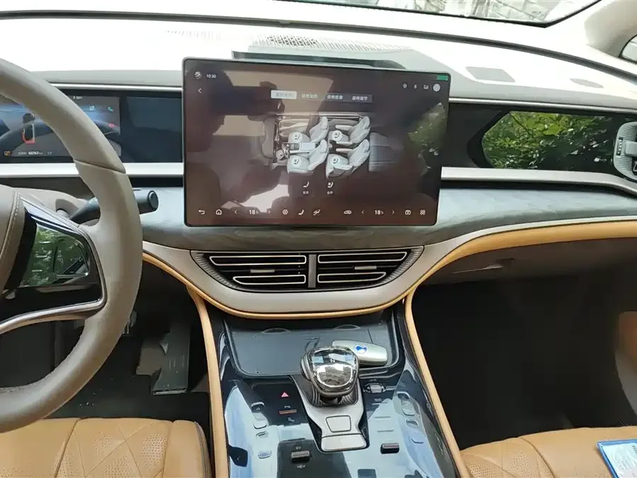 BYD D9 DENZA D9 2022 DM-i 1040 Premium Edition 2023 — миниатюра 4