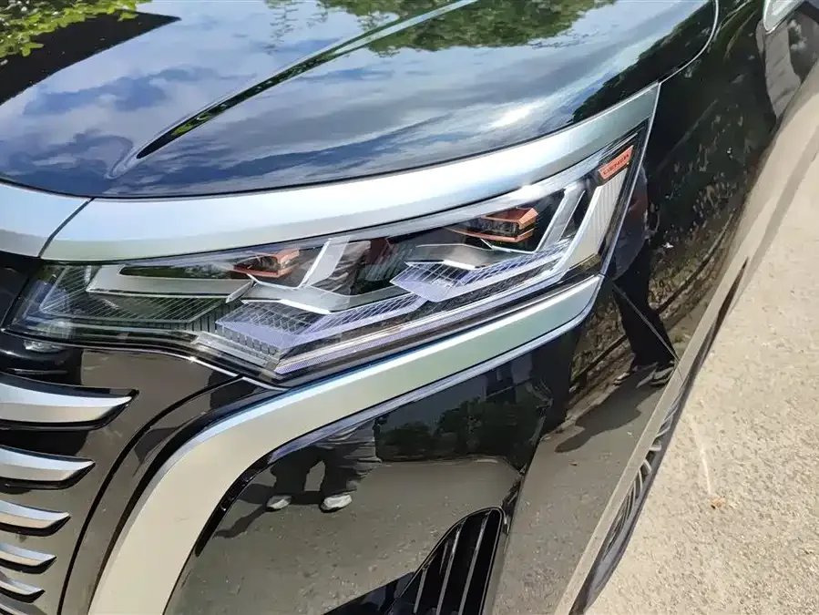 BYD D9 DENZA D9 2022 DM-i 1040 Premium Edition 2023 — миниатюра 5