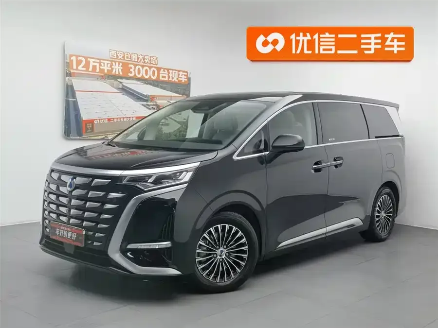 BYD D9 2025