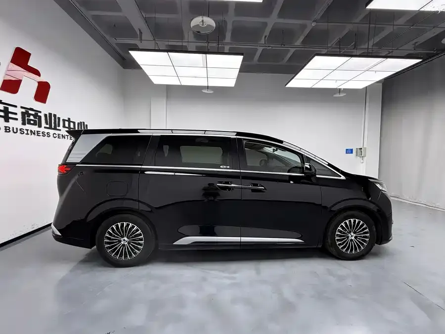 BYD D9 DENZA D9 2024 DM-i 980 4WD Premium Edition 2025 — миниатюра 2