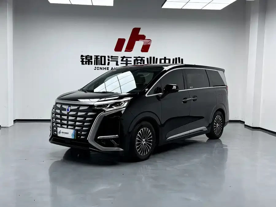 BYD D9 2025