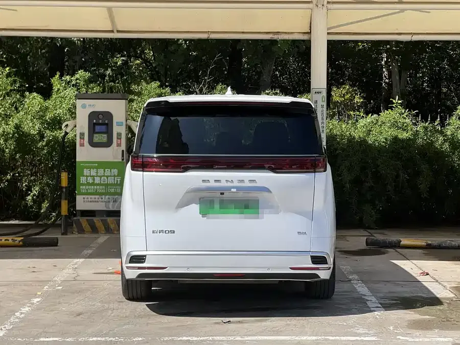 BYD D9 DENZA D9 2022 DM-i 1040 Premium Edition 2023 — миниатюра 2