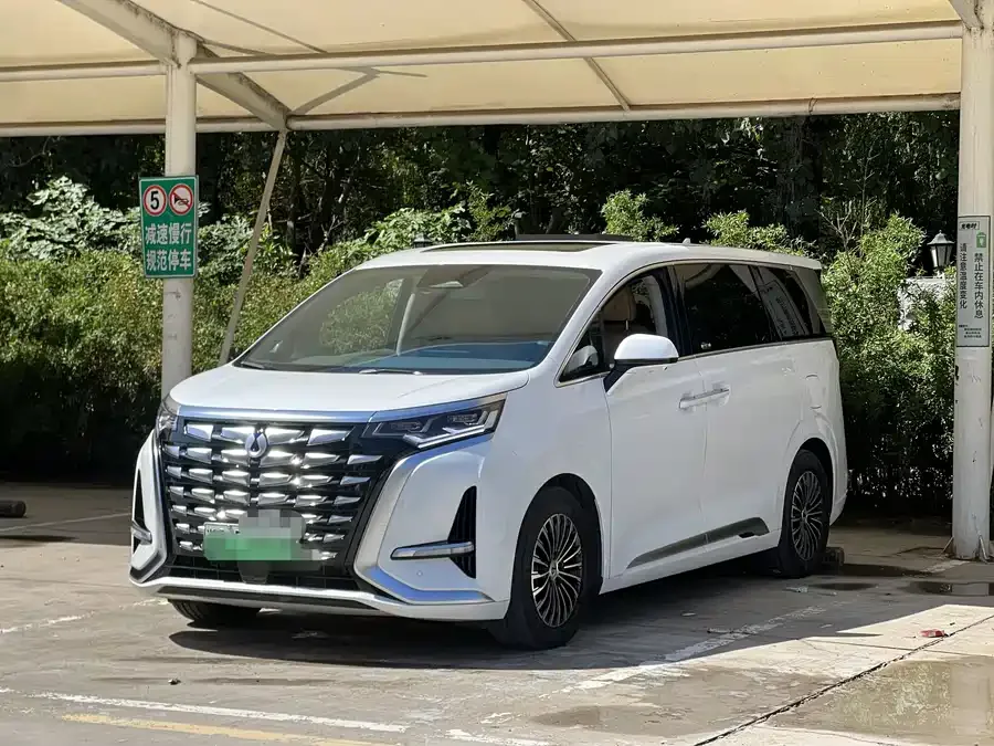 BYD D9 2023