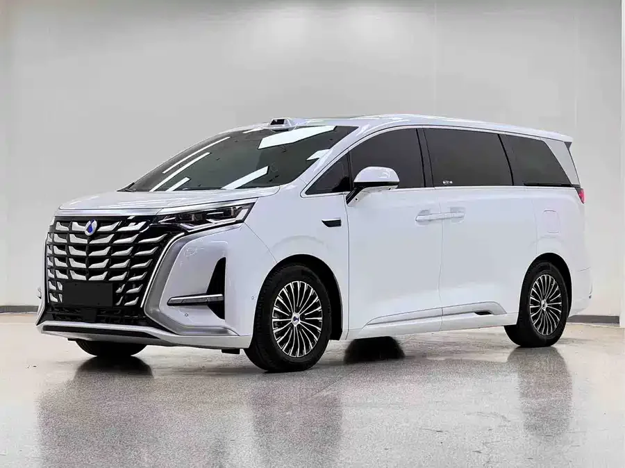 BYD D9 2025