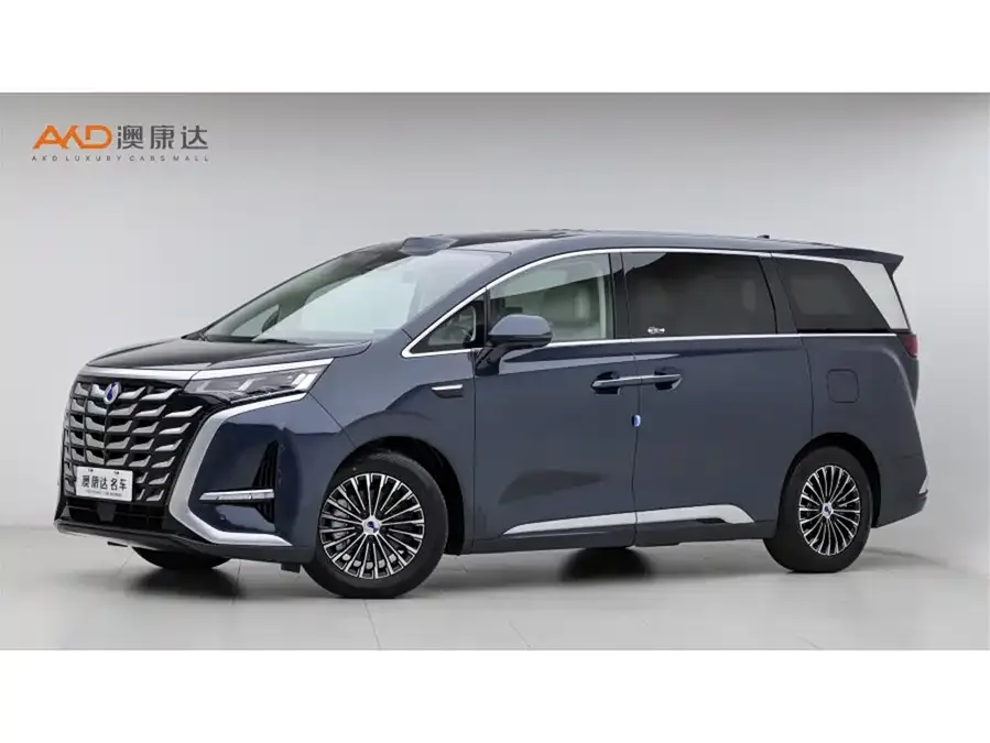 BYD D9 2025
