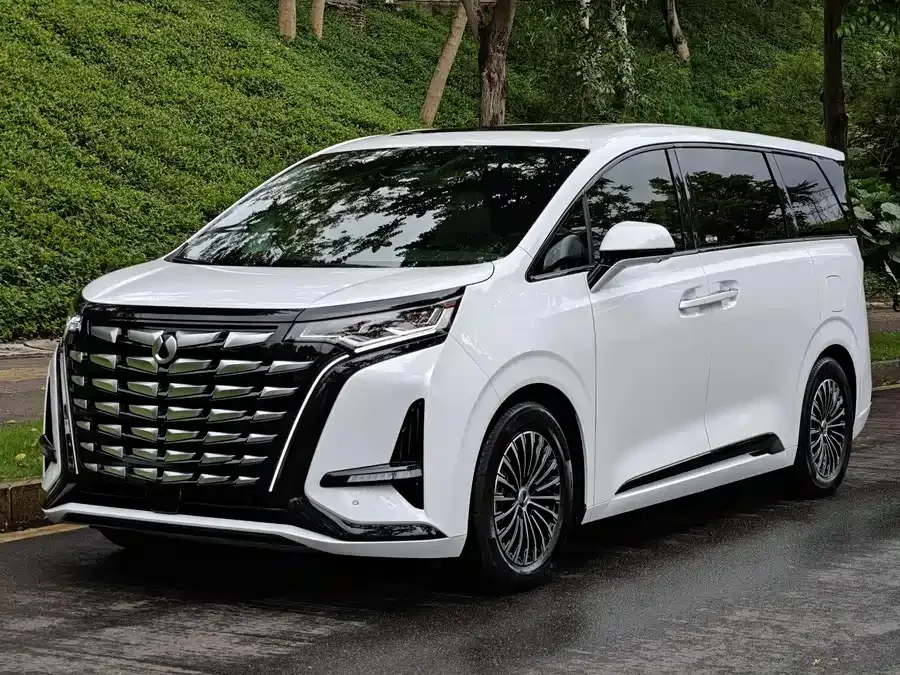 BYD D9 2024