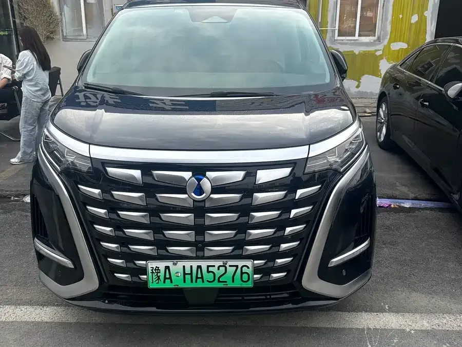 BYD D9 2024