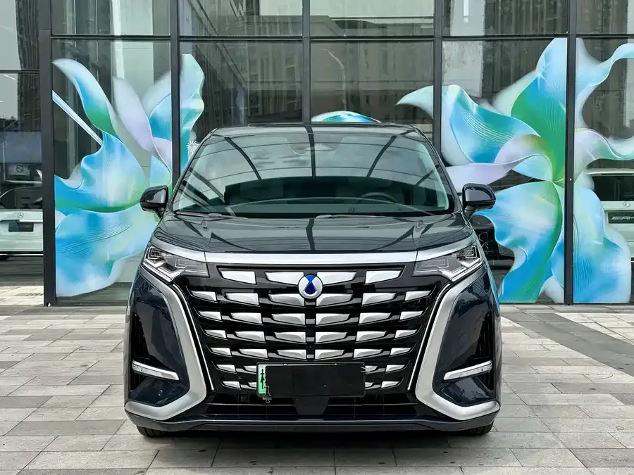 BYD D9 2023