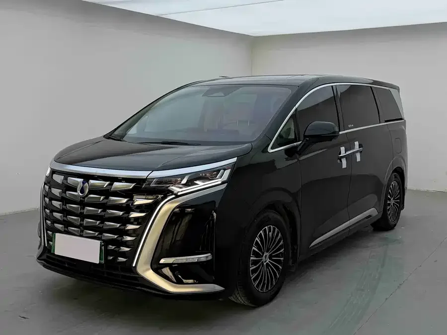 BYD D9 2024