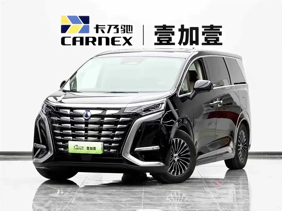 BYD D9 2024