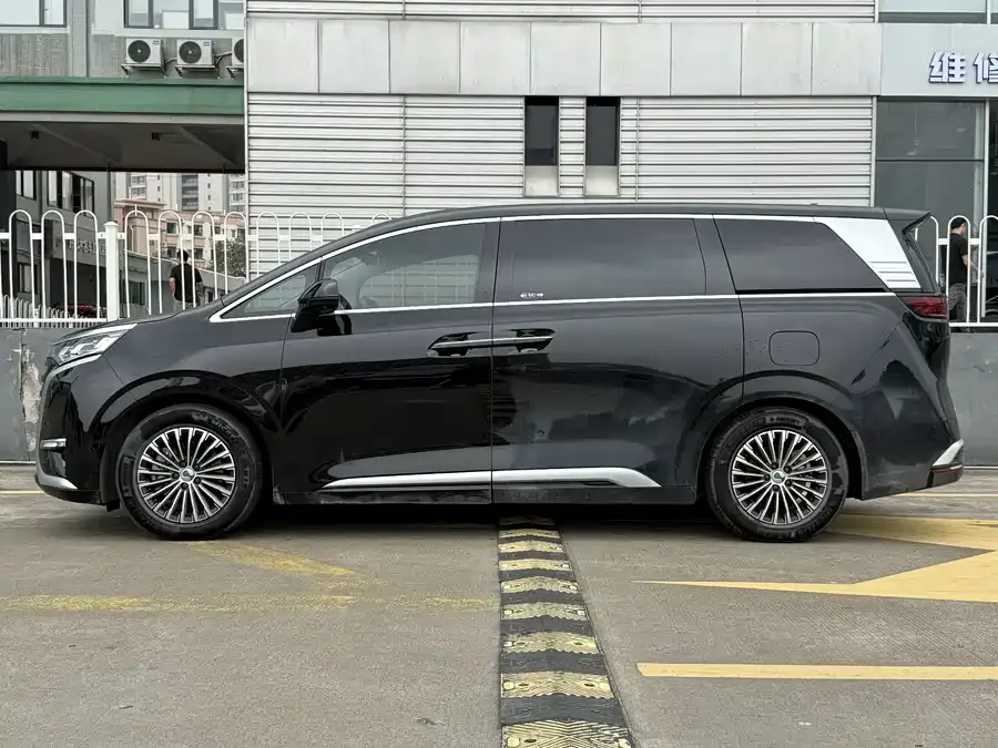 BYD D9 DENZA D9 2024 DM-i 980 4WD Premium Edition 2024 — миниатюра 2