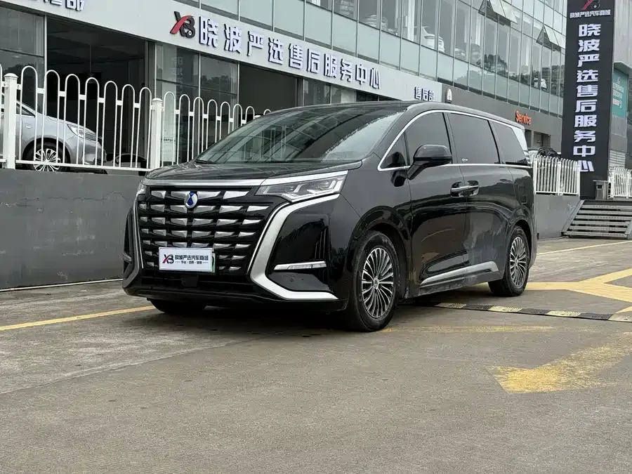 BYD D9 2024