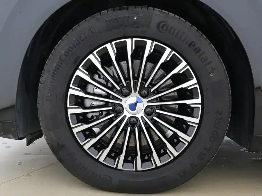 BYD D9 DENZA D9 2024 DM-i 980 4WD Premium Edition 2025 — миниатюра 2
