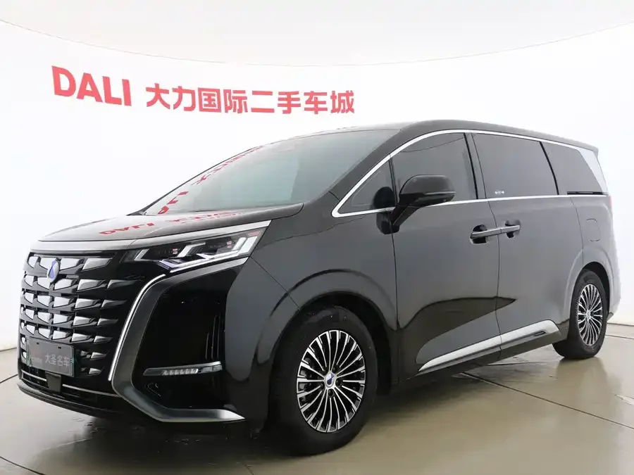 BYD D9 2025