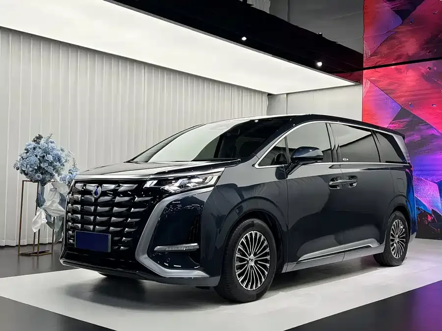BYD D9 2023