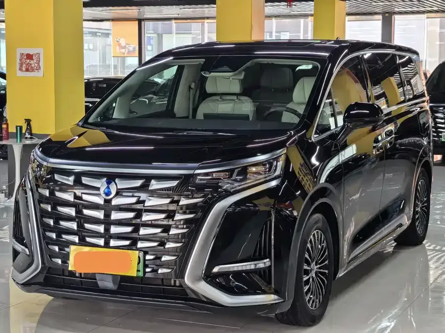 BYD D9 2024