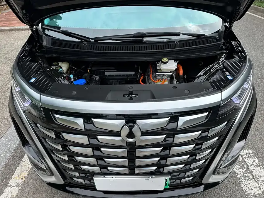 BYD D9 DENZA D9 2022 DM-i 1040 Premium Edition 2023 — миниатюра 2