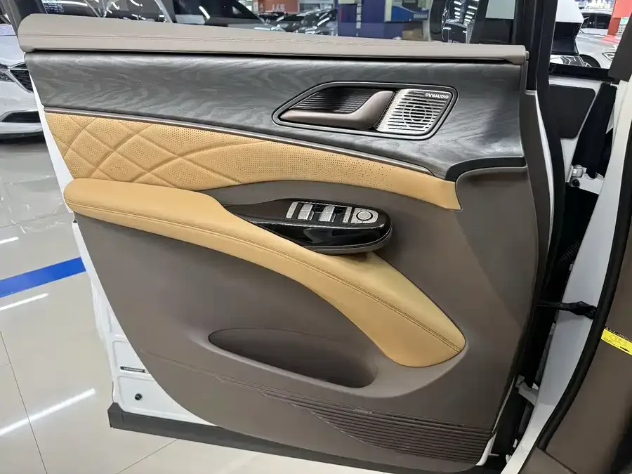 BYD D9 DENZA D9 2022 DM-i 1040 Premium Edition 2023 — миниатюра 2