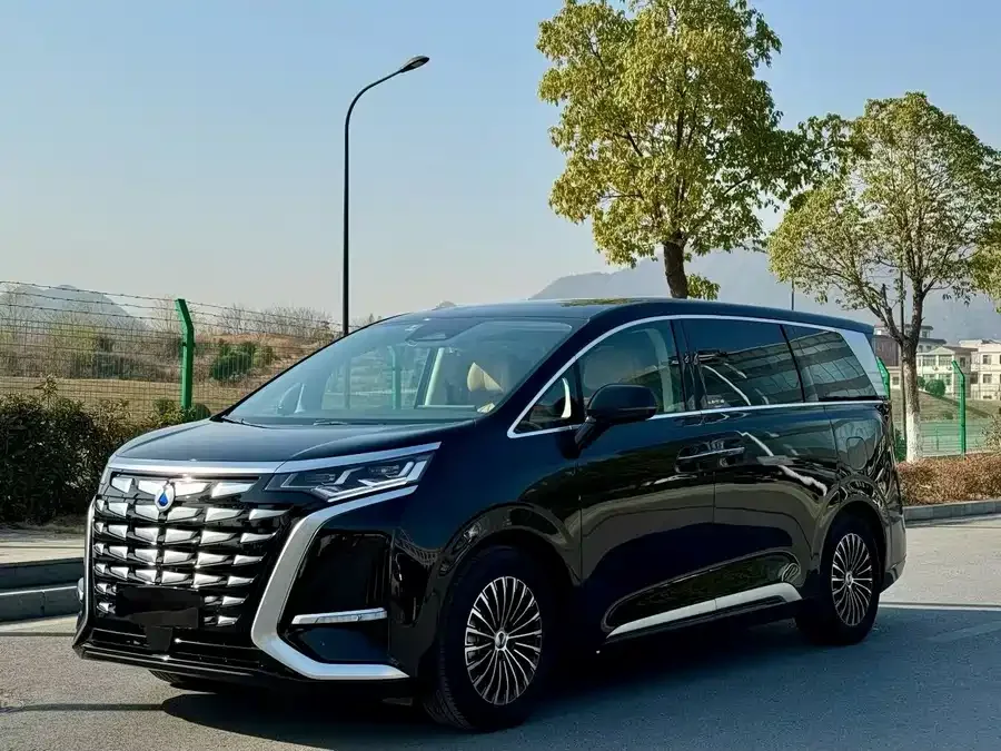 BYD D9 2025