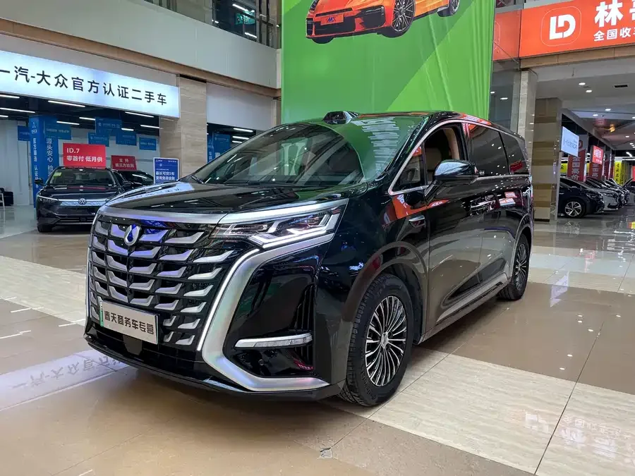BYD D9 2025