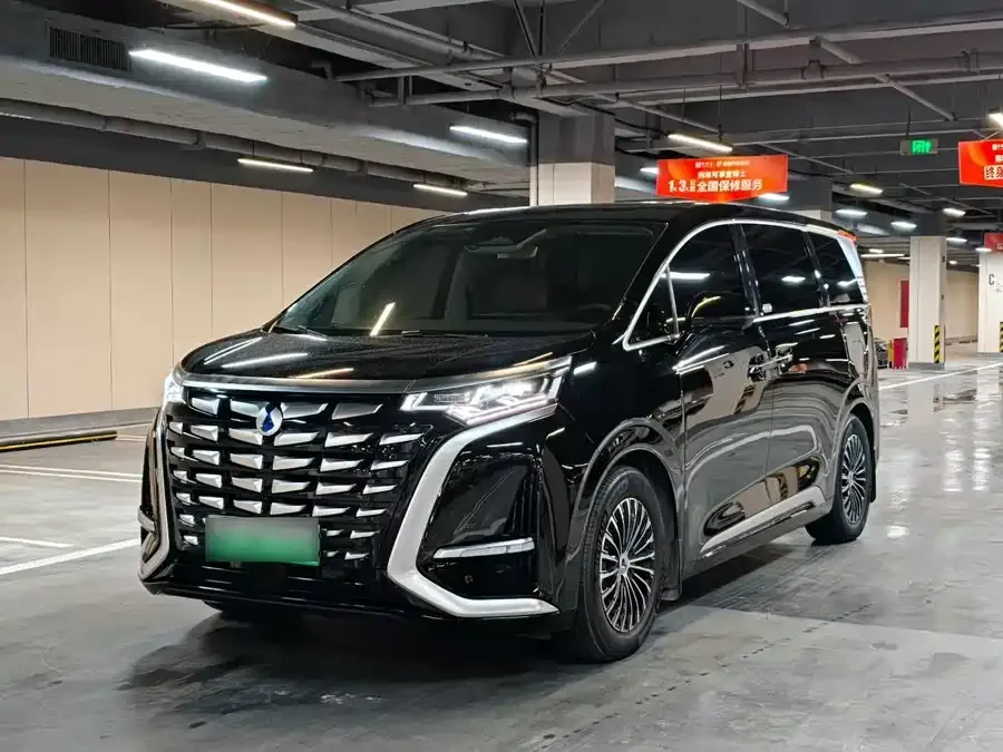 BYD D9 2025