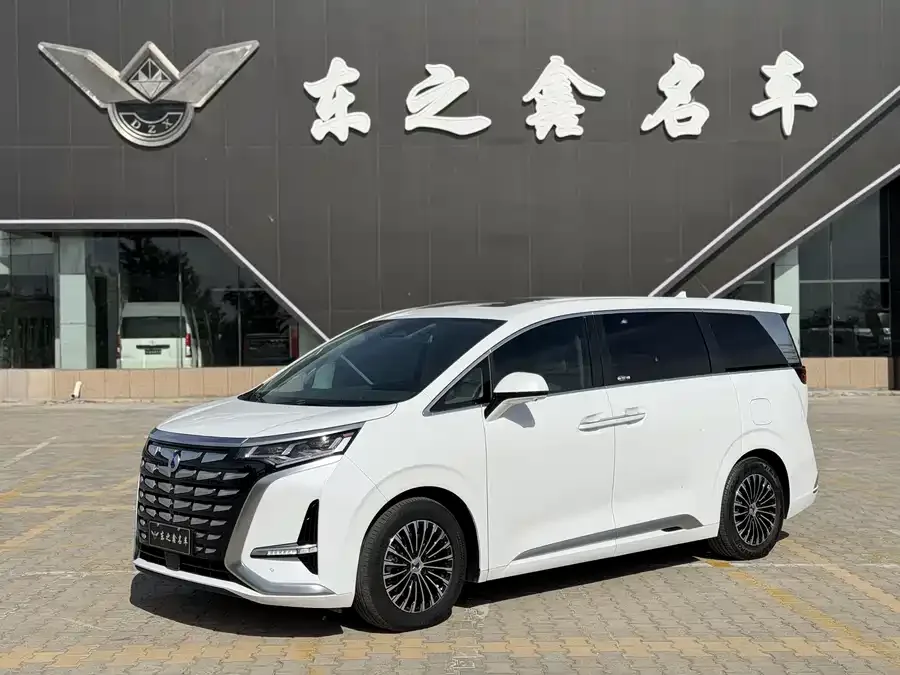 BYD D9 2023