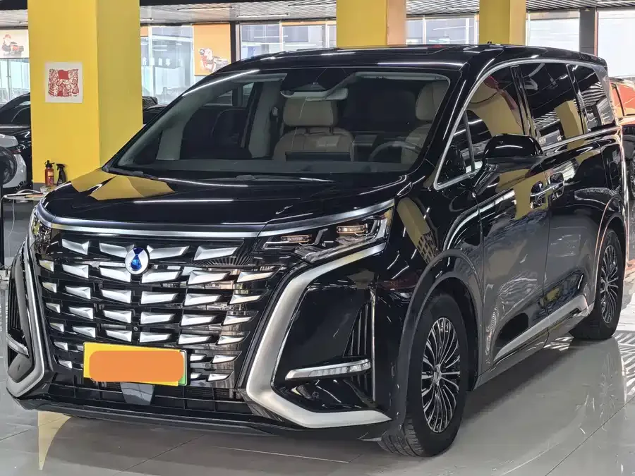 BYD D9 2023