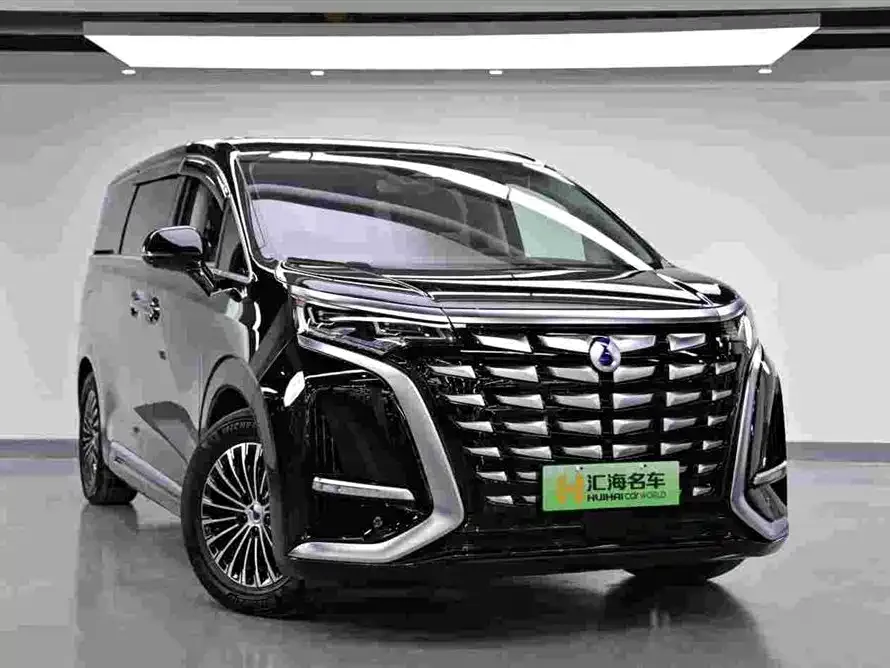 BYD D9 DENZA D9 2022 DM-i 1040 Premium Edition 2023 — миниатюра 3