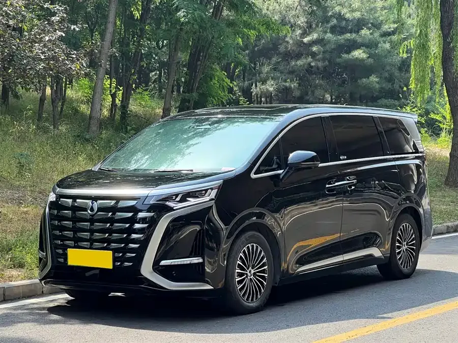 BYD D9 2024