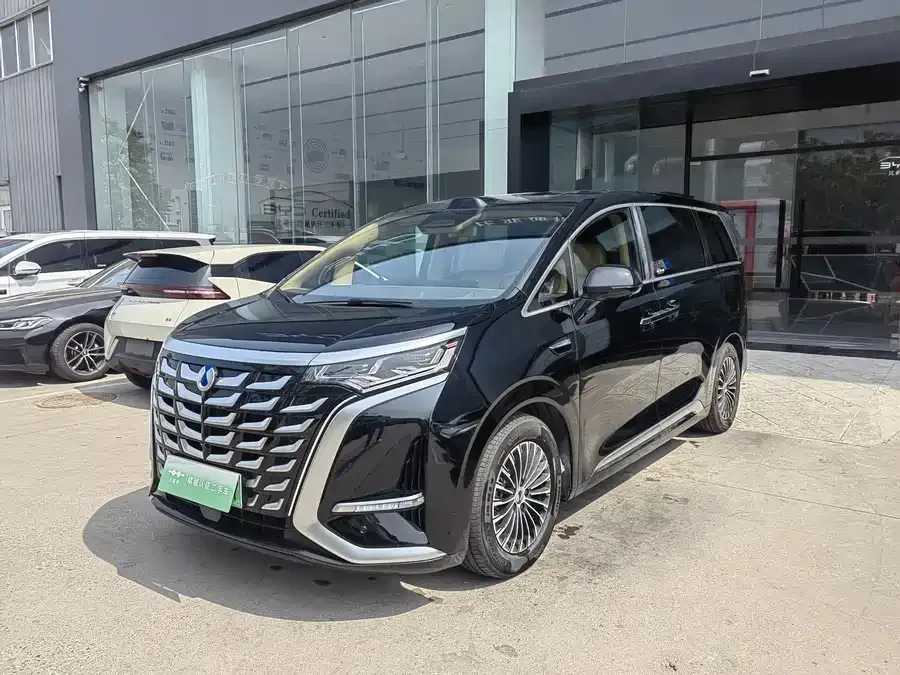 BYD D9 2025