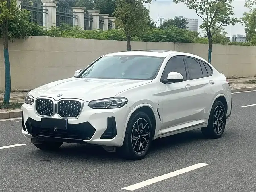 BMW X4 2022 xDrive 25i M Sport Package 2022 — фото 1, купить с доставкой в Москву
