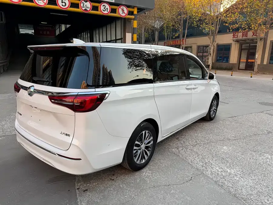 Buick GL8 2023 ES Lu Zun Premium Edition 2023 — миниатюра 4