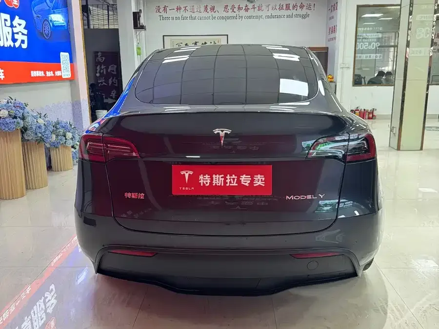 Tesla Model Y Model Y 2024 rear-wheel drive version 2024 — миниатюра 3