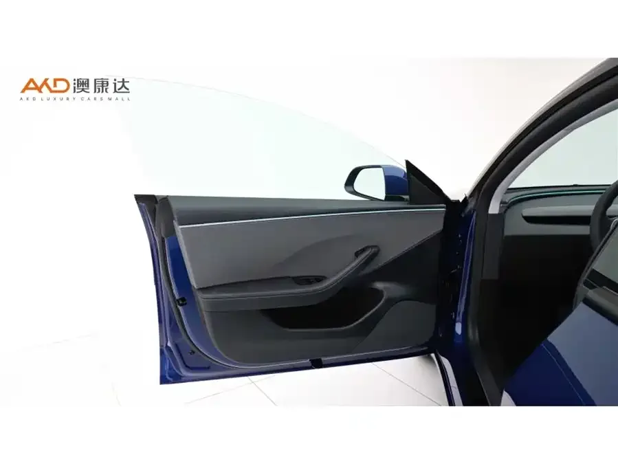 Tesla Model 3 Model 3 2025 rear-wheel drive version 2025 — миниатюра 3