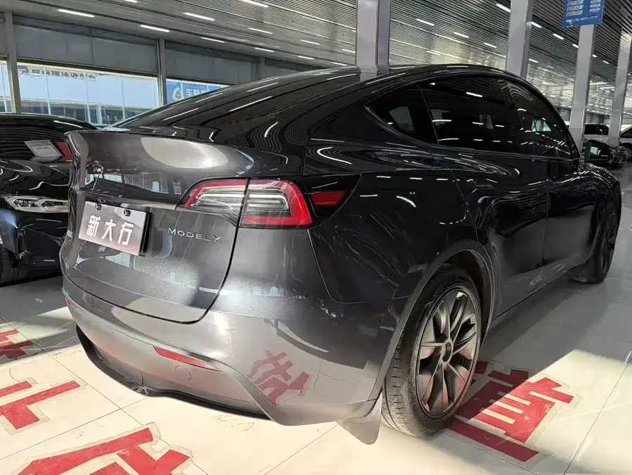 Tesla Model Y Model Y 2024 rear-wheel drive version 2024 — миниатюра 3