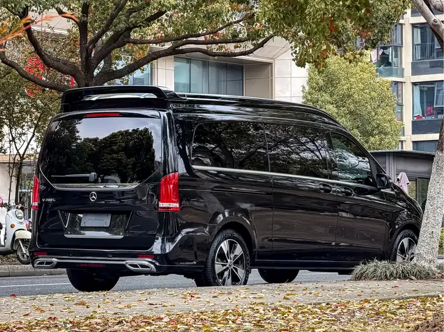 Mercedes-Benz Class V Mercedes-Benz V-Class 2022 V 260 L Long Wheelbase Luxury Edition 2024 — миниатюра 2