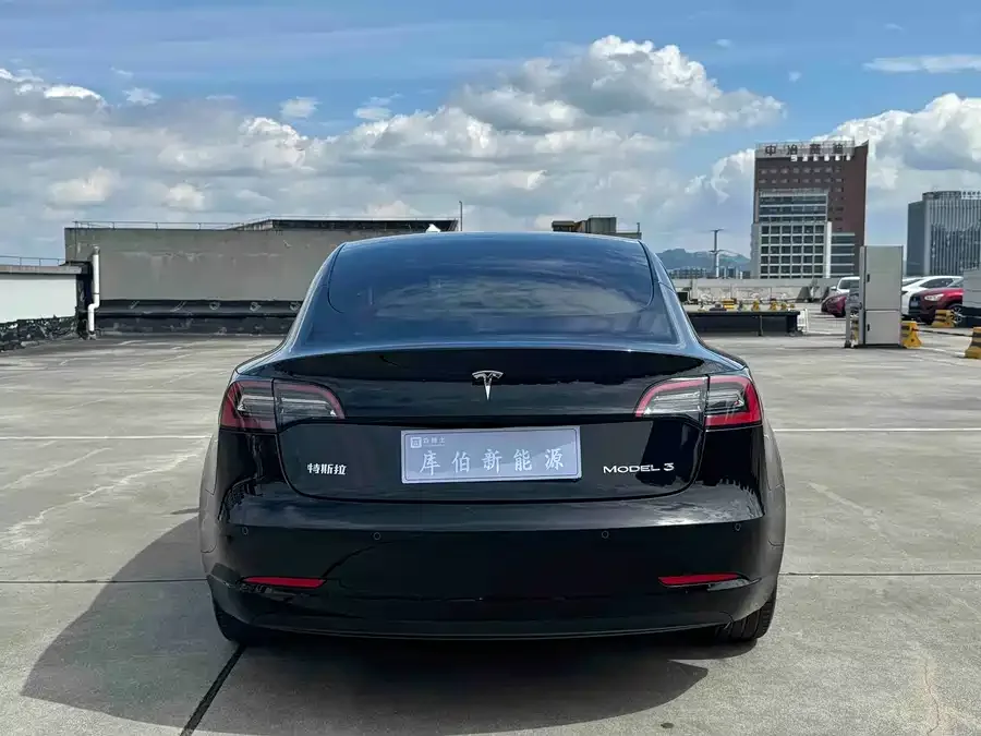 Tesla Model 3 Model 3 2022 rear-wheel drive version 2022 — миниатюра 2