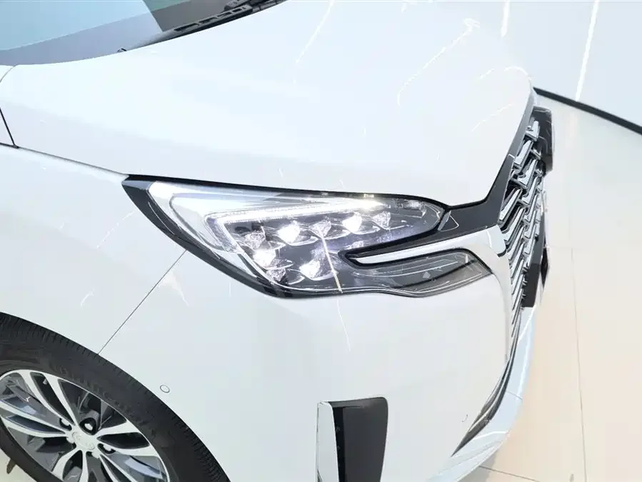 Buick GL8 2023 ES Lu Zun Premium Edition 2023 — миниатюра 3