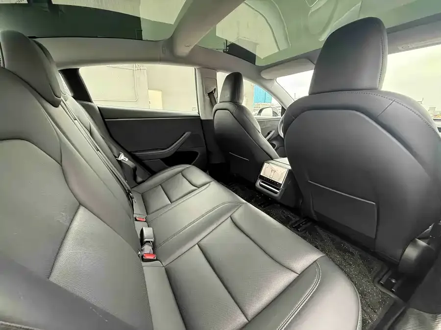 Tesla Model 3 Model 3 2025 Long Range All-Wheel Drive 2025 — миниатюра 4