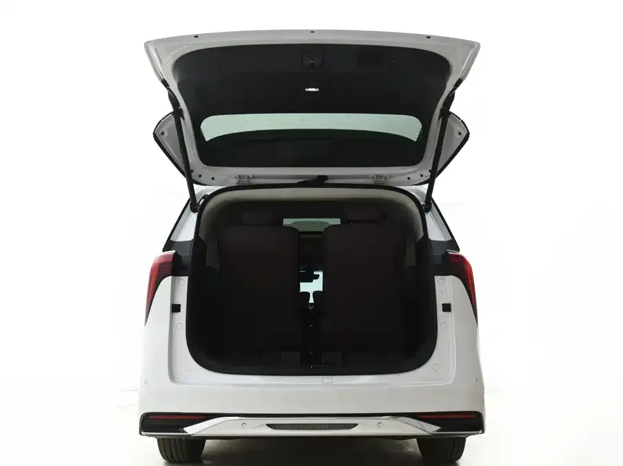 Buick Century Century 2023 2.0T Six-seat Yunshi Edition 2023 — миниатюра 5