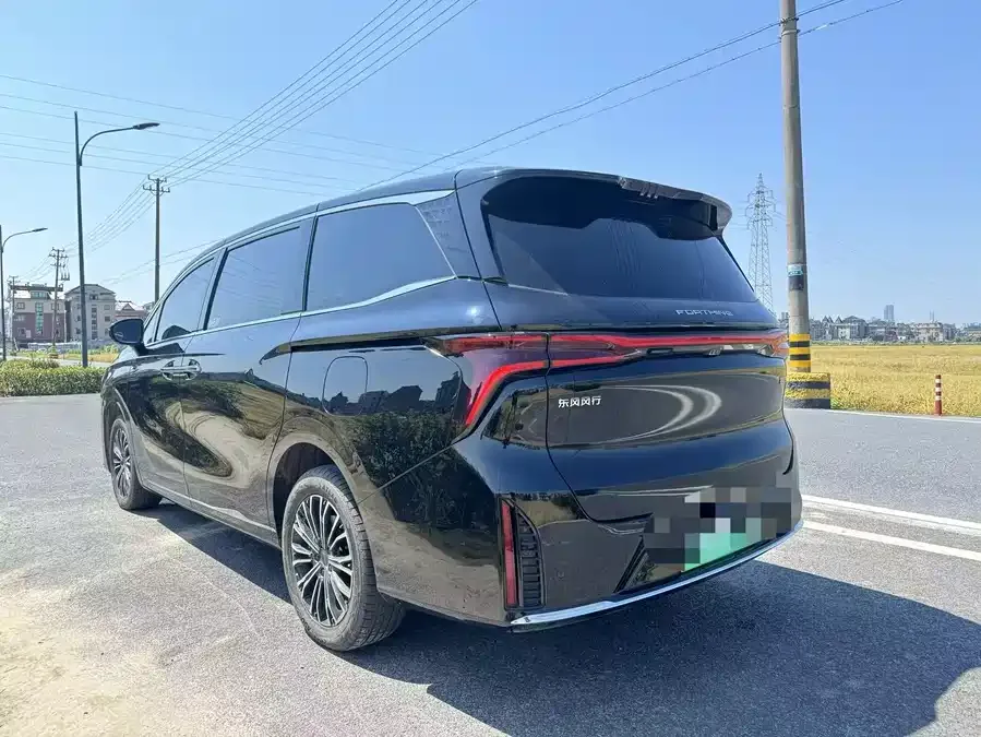 Dongfeng Xinghai V9 Xinghai V9 2024 1.5TD 200km Qingyunti Series Premium 2024 — миниатюра 2
