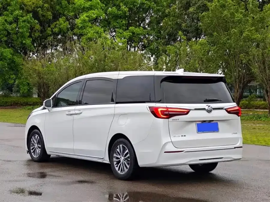 Buick GL8 2023 ES Lu Zun Premium Edition 2022 — миниатюра 3