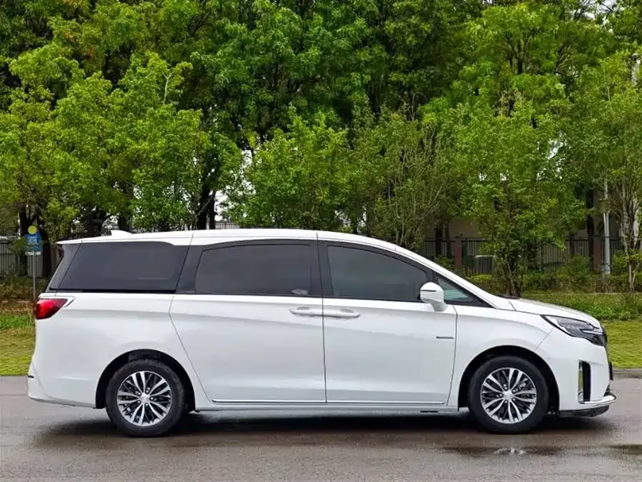 Buick GL8 2023 ES Lu Zun Premium Edition 2022 — миниатюра 5