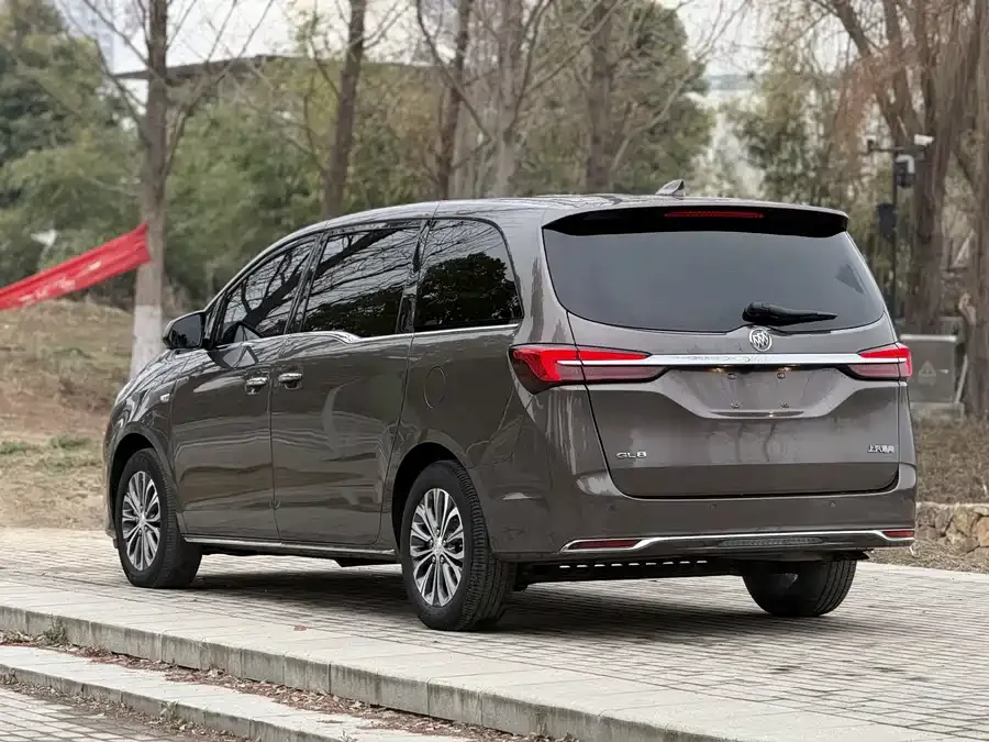 Buick GL8 2023 Land Business Class 652T Luxury Edition 2023 — миниатюра 4