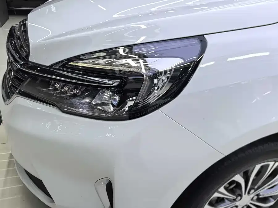Buick GL8 2022 Land Business Class 652T Luxury Edition 2022 — миниатюра 2