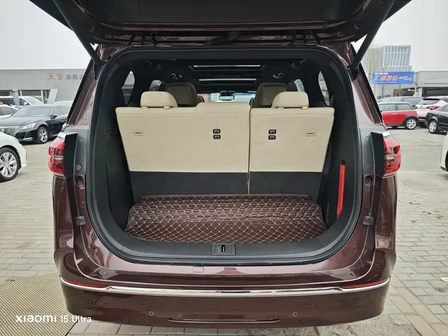 Buick GL8 2022 ES Lu Zun 653T Luxury Edition 2022 — миниатюра 4