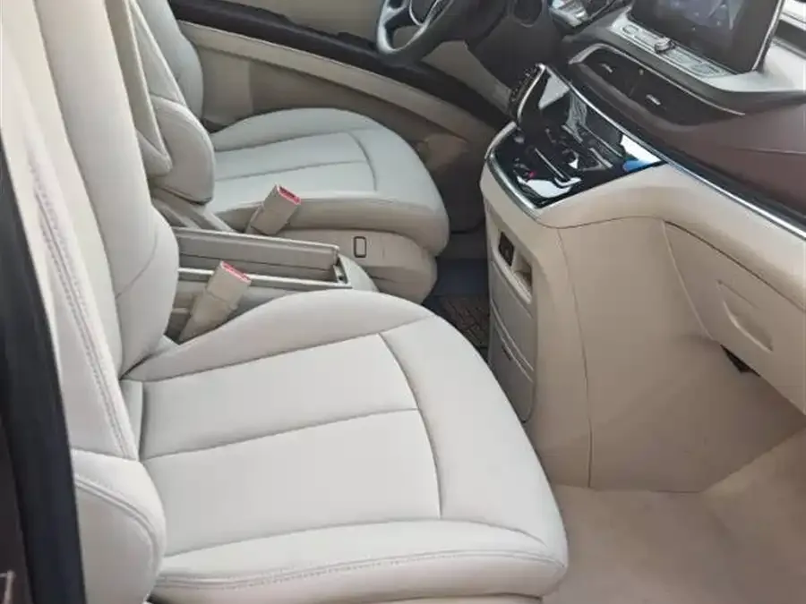 Buick GL8 2022 Land Business Class 652T Comfort Edition 2022 — миниатюра 5