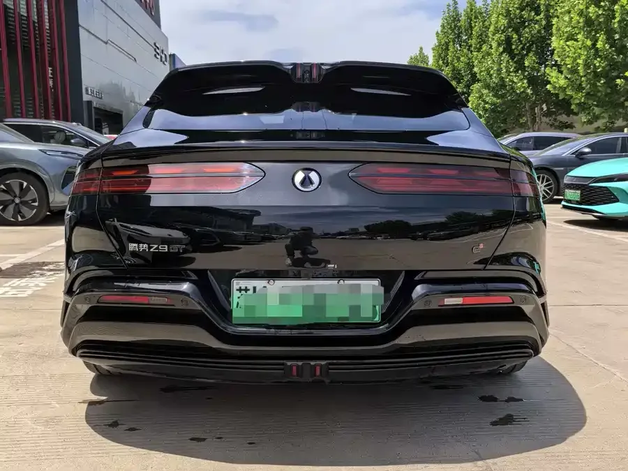 BYD Z9GT BYD Z9GT 2024 1100 4WD Ultra First Edition 2024 — миниатюра 4