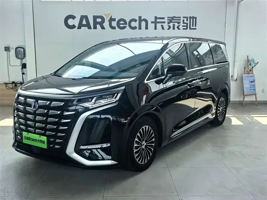 BYD D9 2024