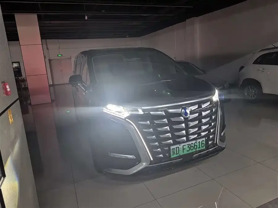 BYD D9 2024